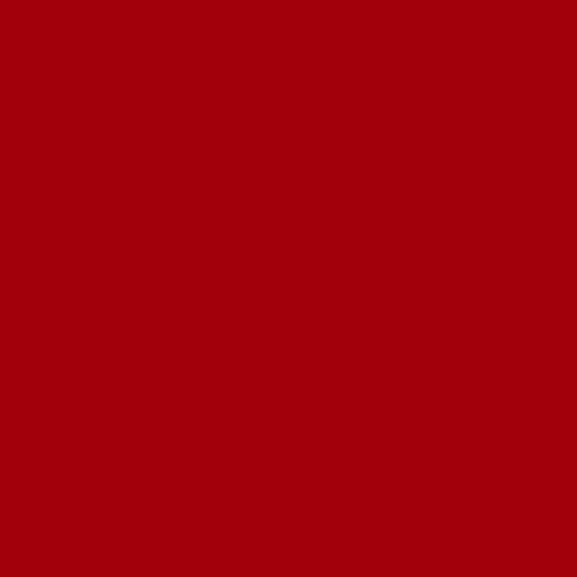 Rouge spirituel (mat) (RAL3001)