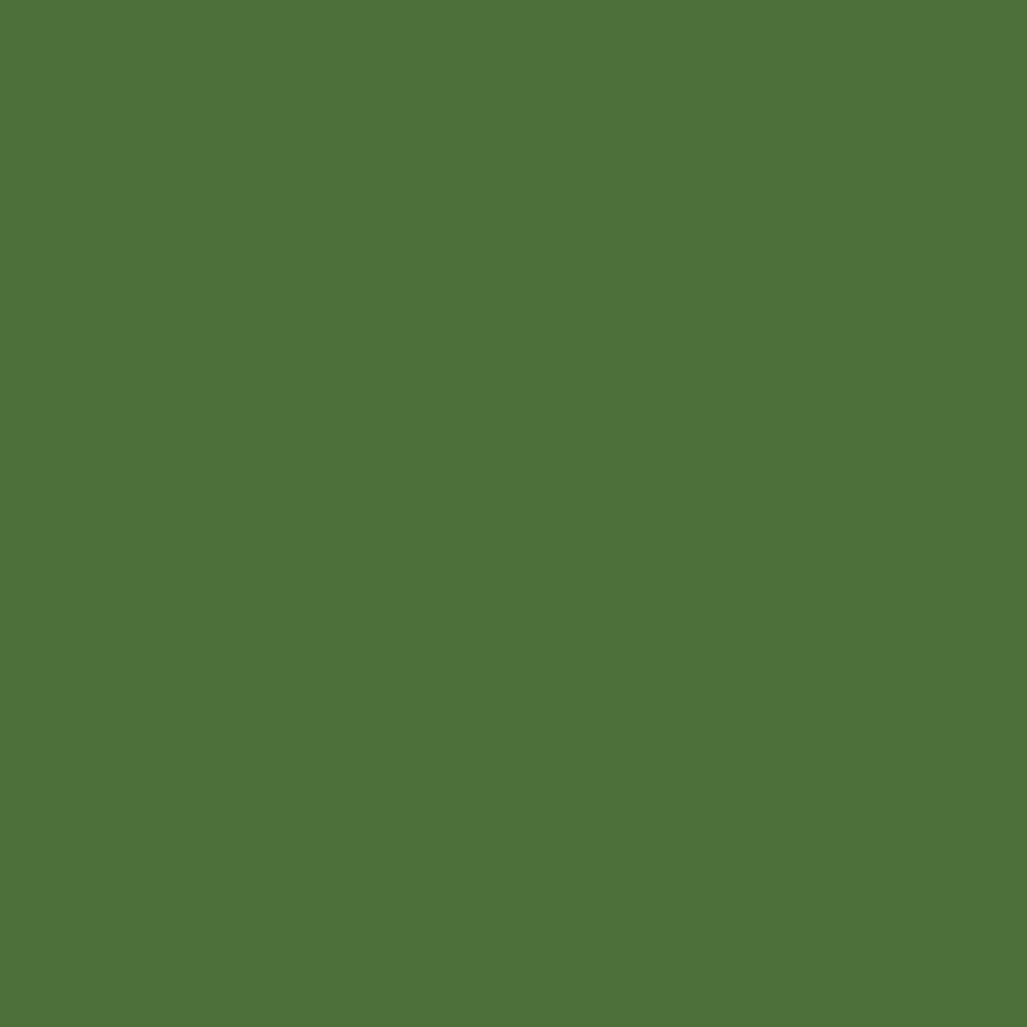 Waldgrün (RAL6001)