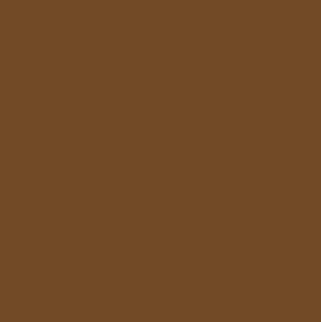 Raw Umber (RAL8007)